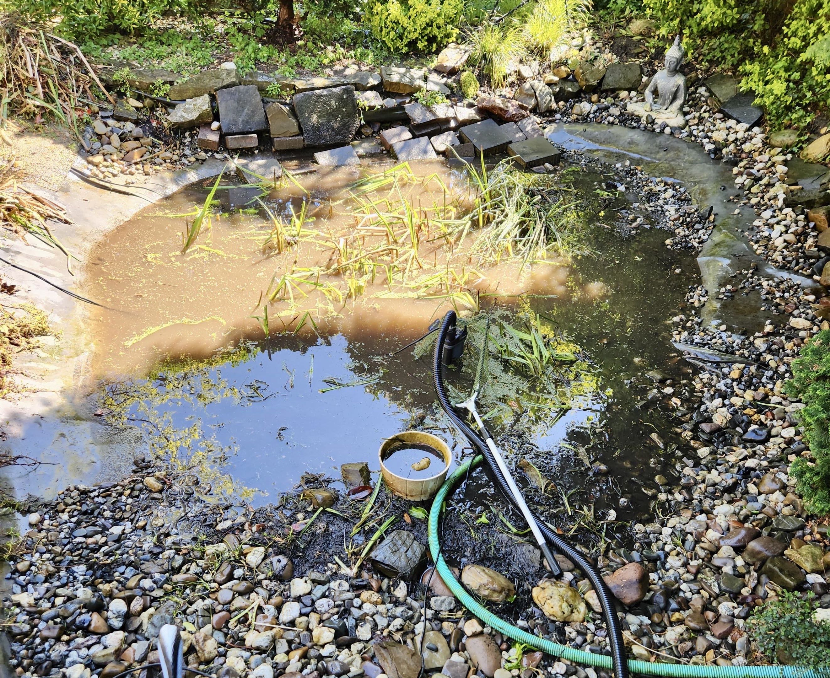 Clear pond